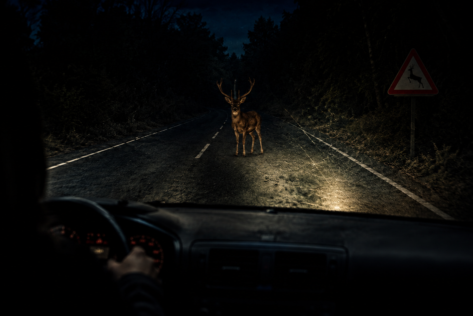 ciervo en carretera y luces sin pasar ITV