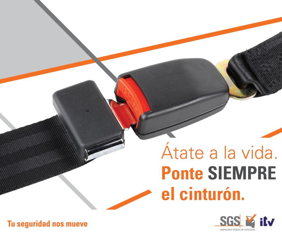 SGS. Cinturón de seguridad